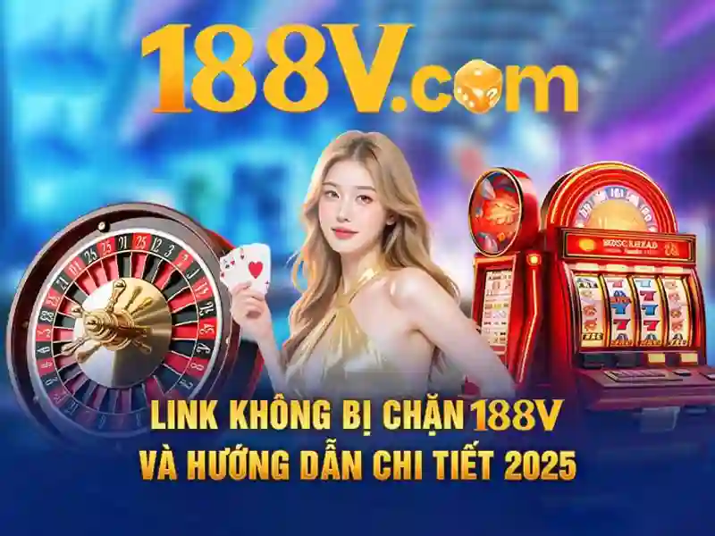 Trải nghiệm người dùng và phản hồi