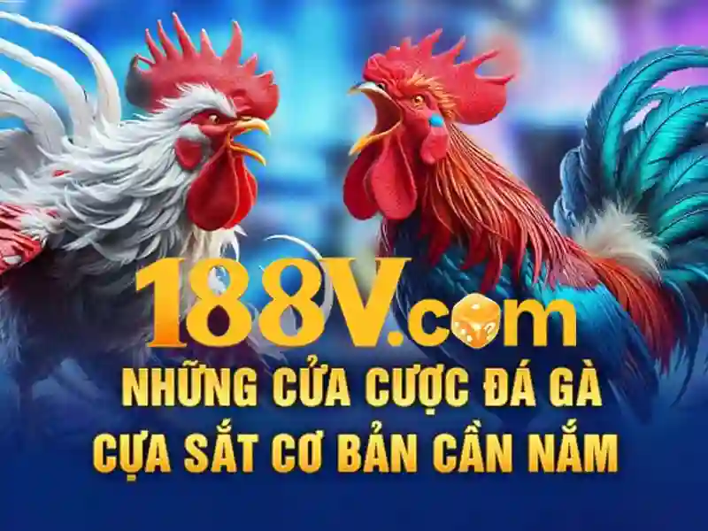 Tổng quan 188v tải – Tổng quan chủ đề và giá trị cốt lõi