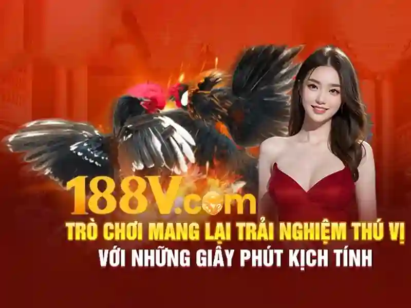 Điểm chính về đo điện áp
