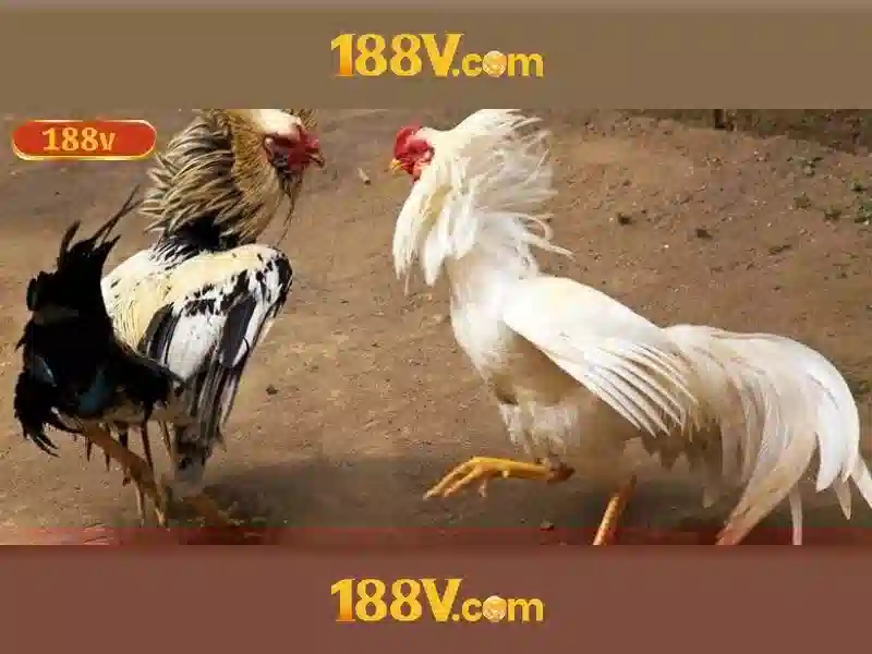 Ảnh hưởng của 188v đối với công nghệ