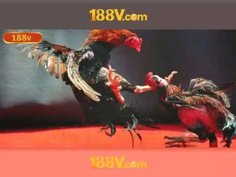 188v no hu – Tổng quan và giá trị cốt lõi