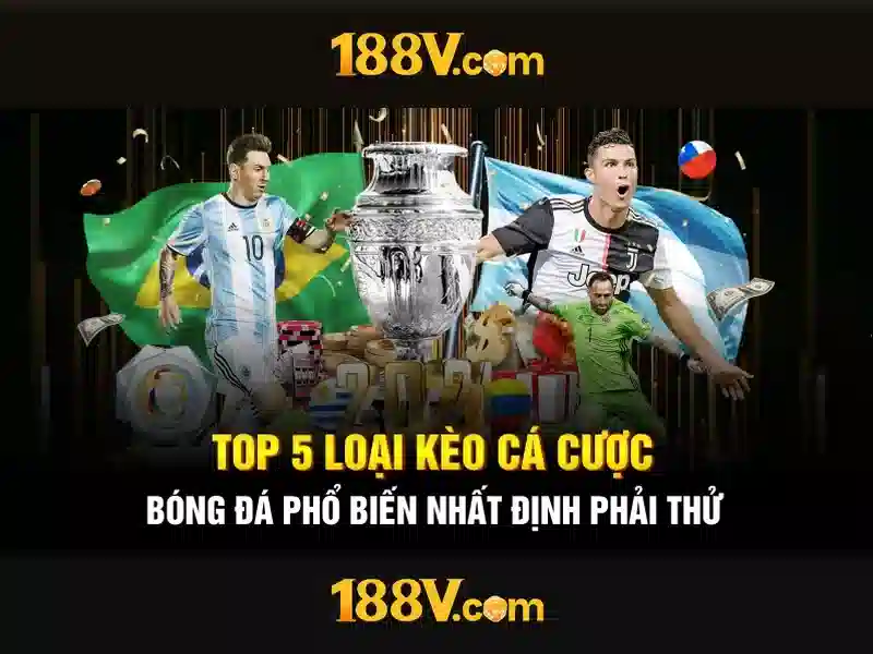 Trải nghiệm người dùng và cộng đồng