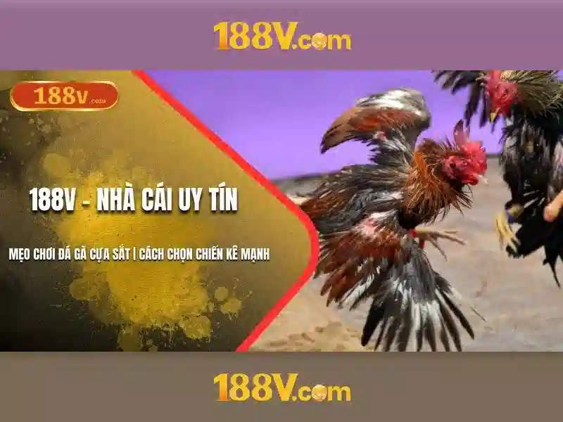 Phát triển và tầm nhìn tương lai của 188v no hũ