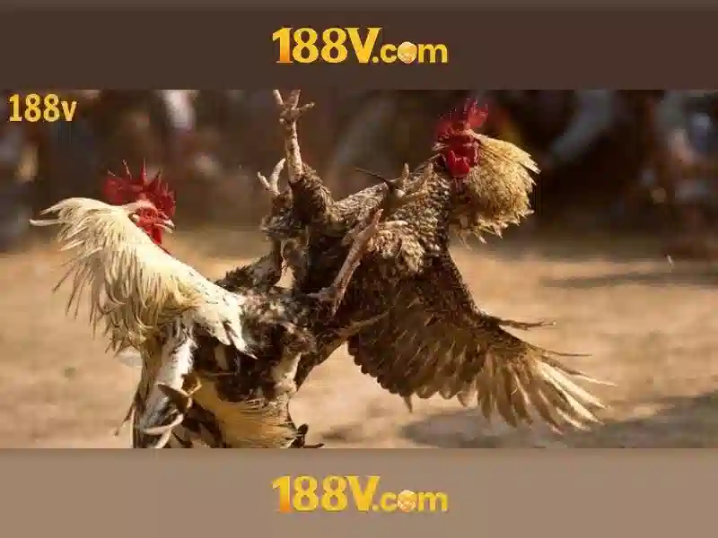 Khởi đầu của 188V