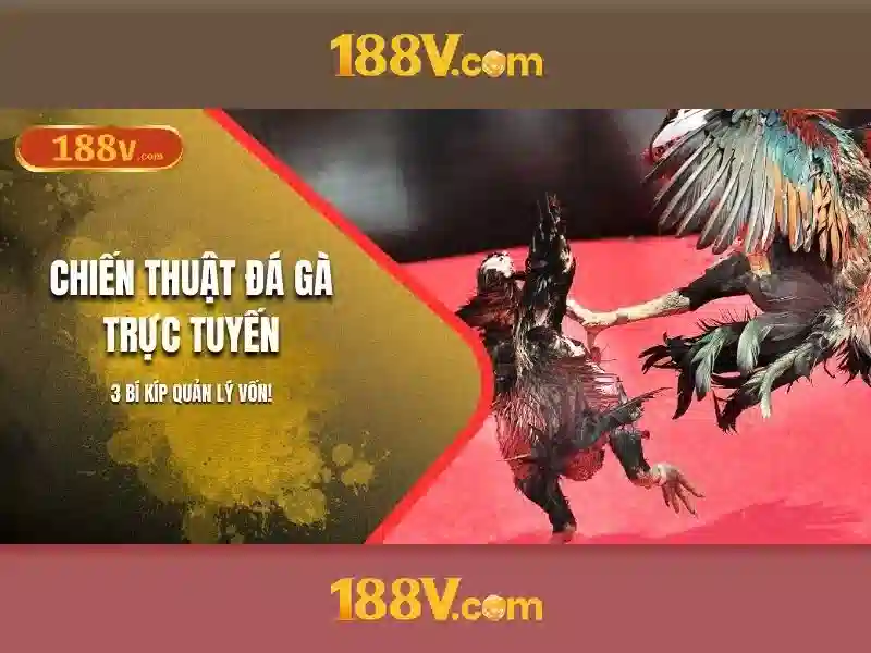 188v và giao thức kết nối