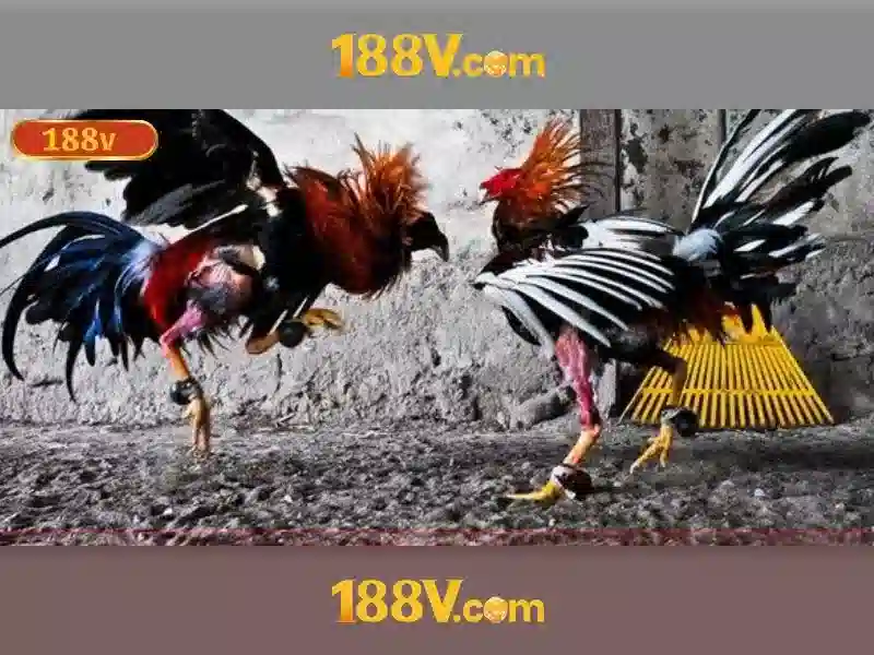Khái niệm về 188v