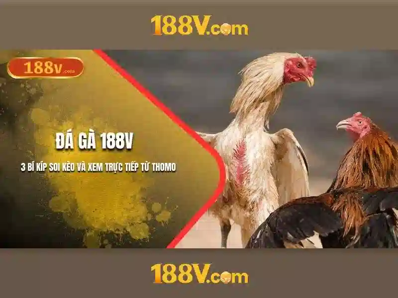 Chủ đề 188v và sự kỳ diệu của điện trường