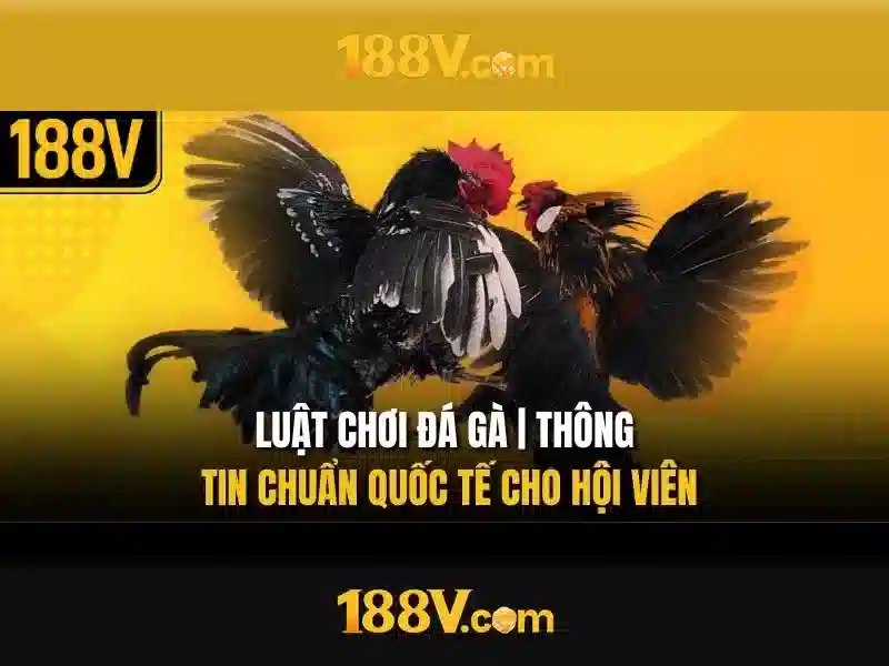 Ứng dụng và tương lai