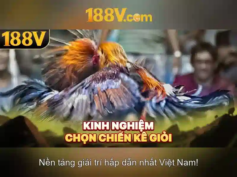 Kết luận và triển vọng\n<p><span style=
