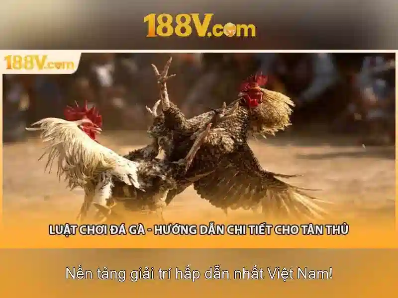 Lịch sử và nguồn gốc