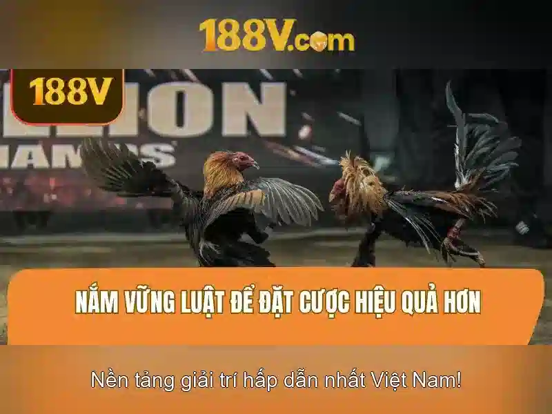 Tác động tới xã hội và tương lai