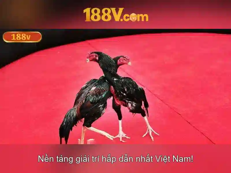 Những thách thức và cơ hội