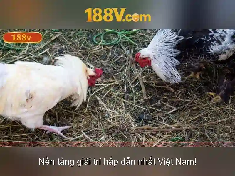 Ứng dụng và tiềm năng