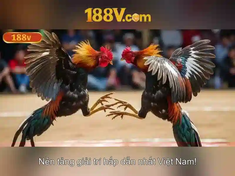 Nguồn gốc và ý nghĩa của 188V