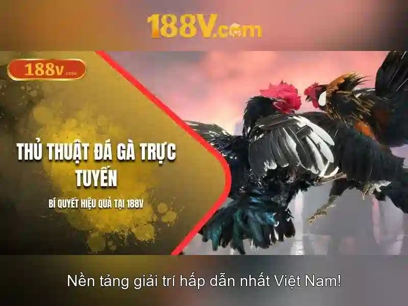 Vấn đề an toàn và thẩm định chất lượng