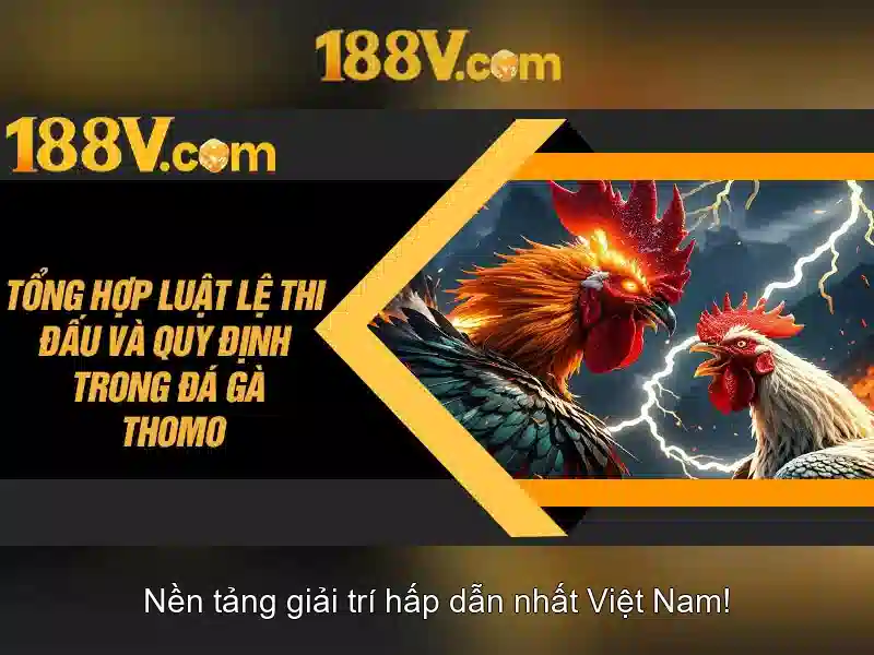 code 188v – Tóm lược chủ đề và giá trị cốt lõi
