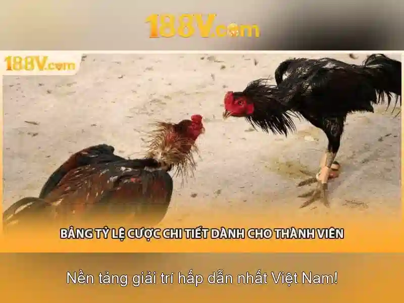 Kiến trúc và phép đo