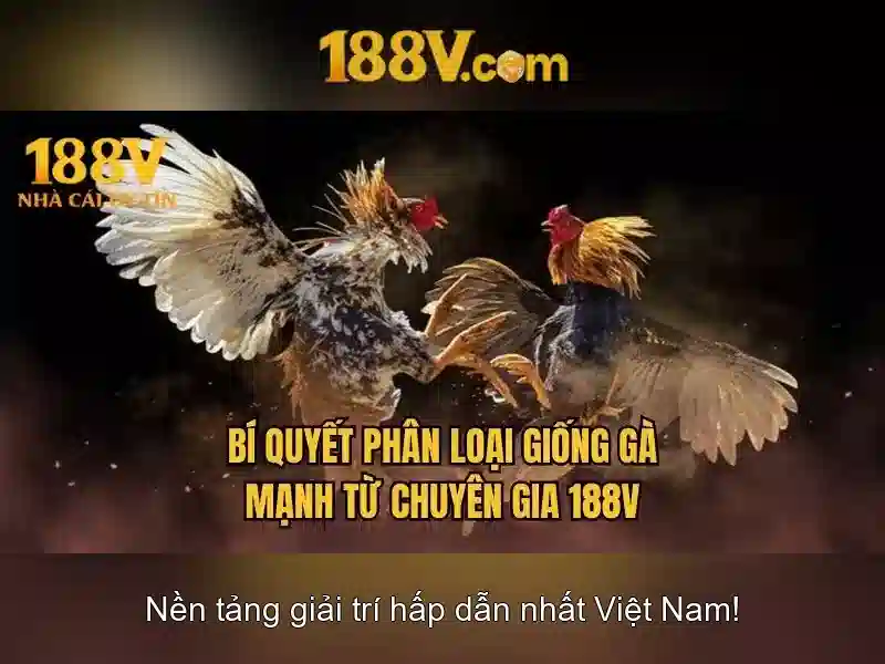 Và tương lai của 188v