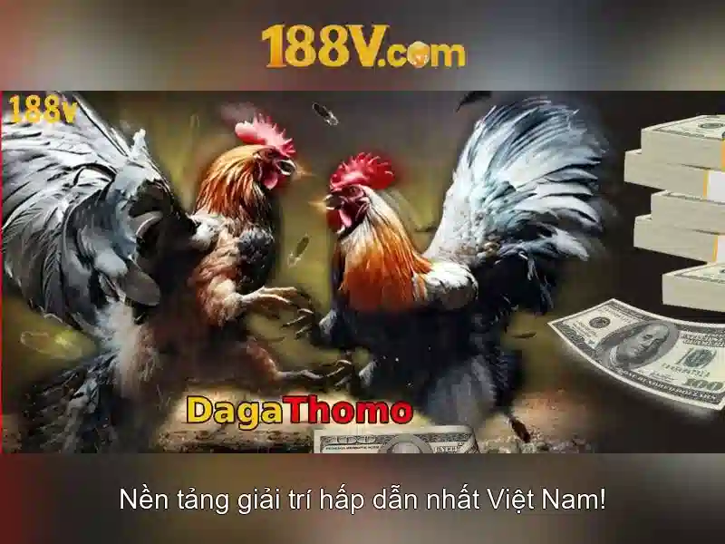 Đặc điểm của 188v