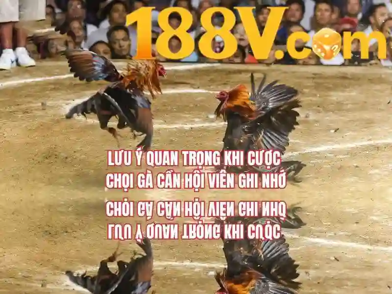Tổng quan và Giá trị Cốt lõi