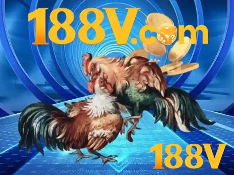 Các vấn đề kỹ thuật và quy định miễn trừ trách nhiệm